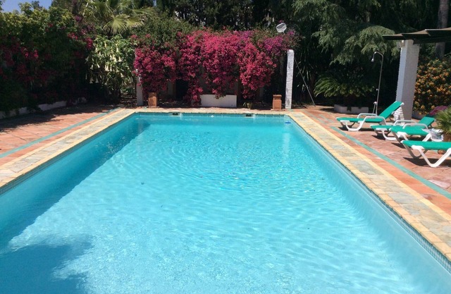 Ideal villa for family rest, visit Seville and Andalusia.