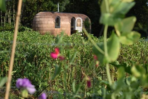 Igloo cabin in Saaremaa