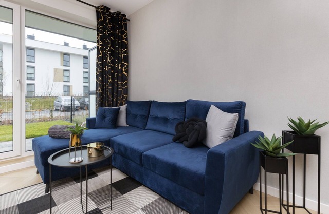 Ignacy Jan Paderewski 26 | Nice Apartment