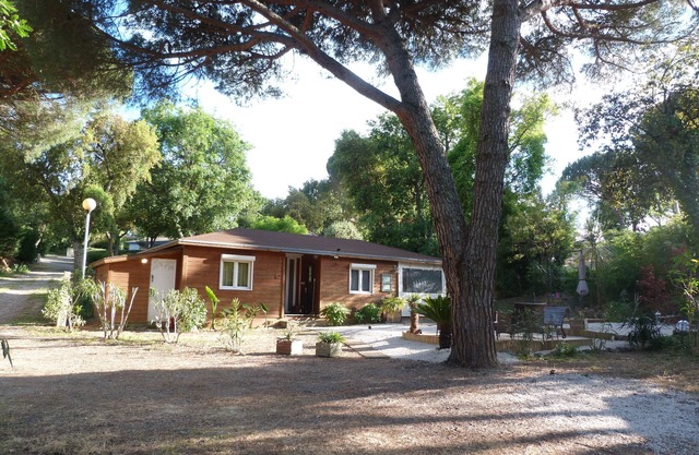In a peaceful setting among pines and oleanders near St Tropez.