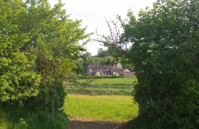 In Somerset