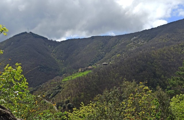 In the Cévennes at the foot of Mont Aigoual, 1km 2 from Valleraugue in the Gard department