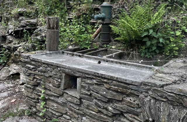 In the heart of the Cévennes National Park on the Stevenson trail
