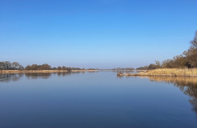 In the middle of the nature reserve directly on the Elbe. Lovely modern vacation apartment