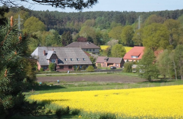 In the quiet valley of the Göhrde