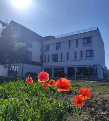 INDRA WELLNESS Retreats and Spa