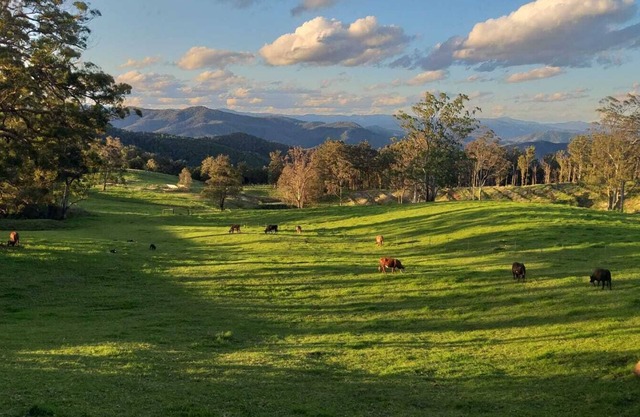 'Infinity Cottage' - surrounded by orchards, pasture, bush and mountains