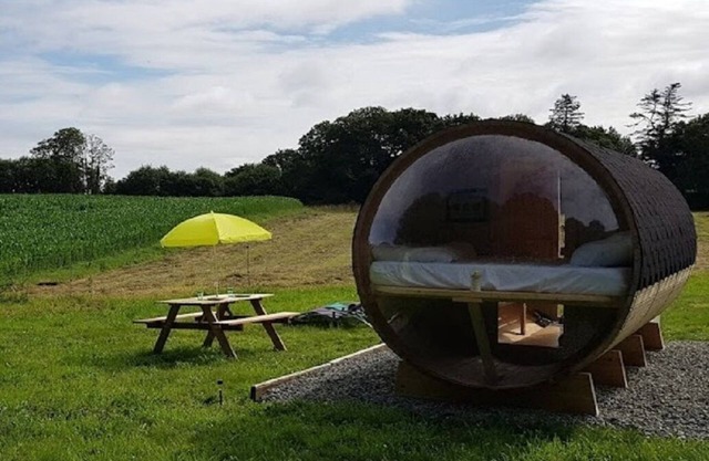 Insolite Tonneau Avec Bulle, en Forêt