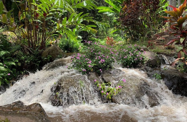 Inspired 1-BR, Magic Gardens, Stream and Waterfall