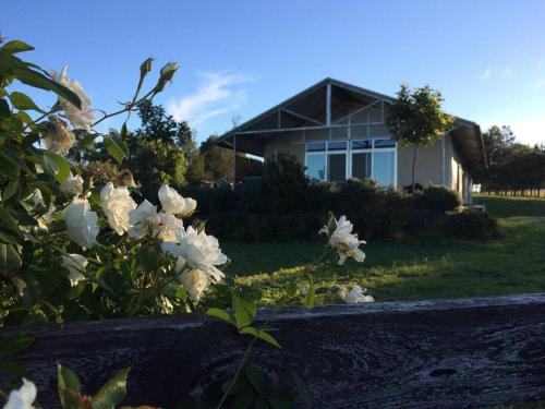 Ironcroft Hunter Valley Wine Country