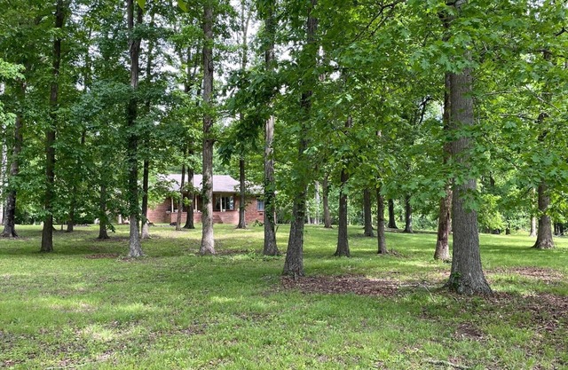 Isolated wooded home safe and quiet. Perfect for getting away from it all!