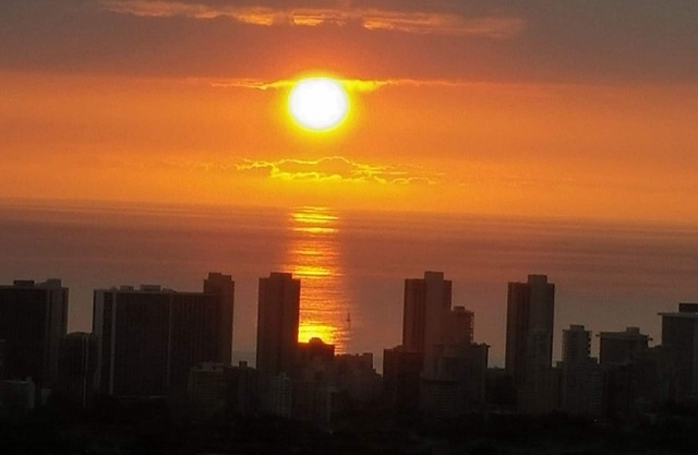 It's paradise! Come & experience the calmness & serenity with the birds singing!