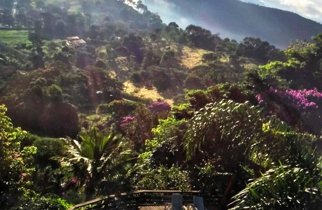 Itaipava House