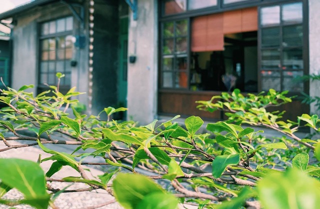 Juandaiqi Guest House