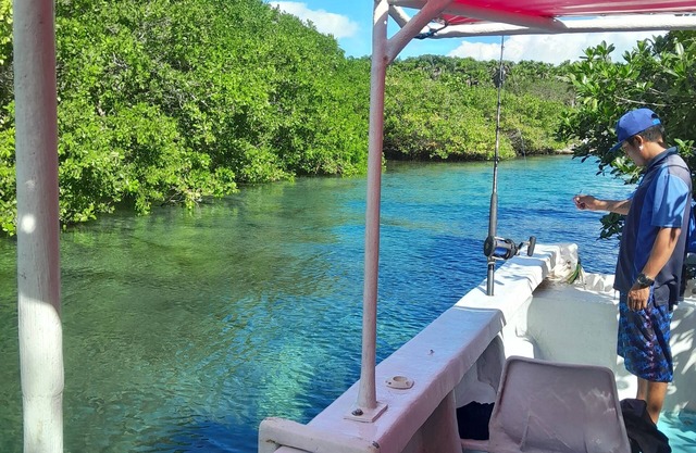 Jungle cabin with cenote