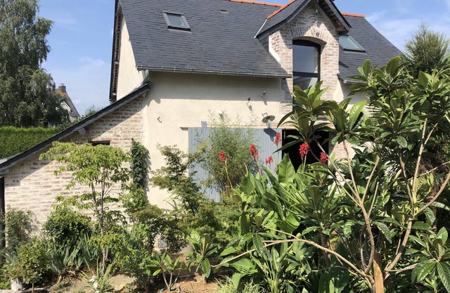 Jungle house