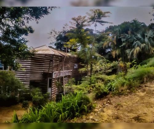Jungle Tree House Rangala