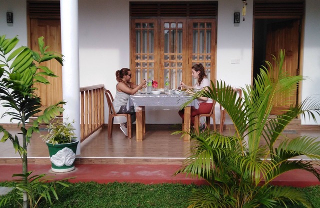 Jungle View Guest