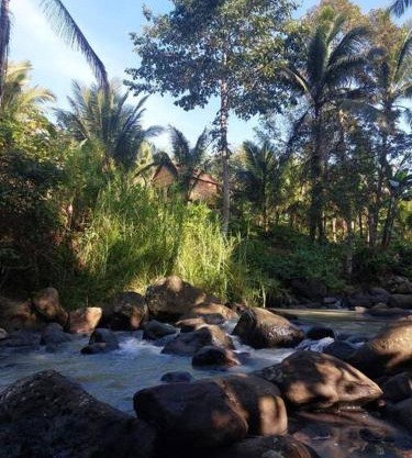 JungleHavenBali - Private and Nature Stay