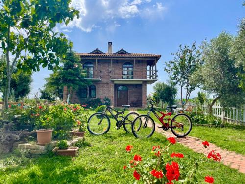 Juniperus Village House