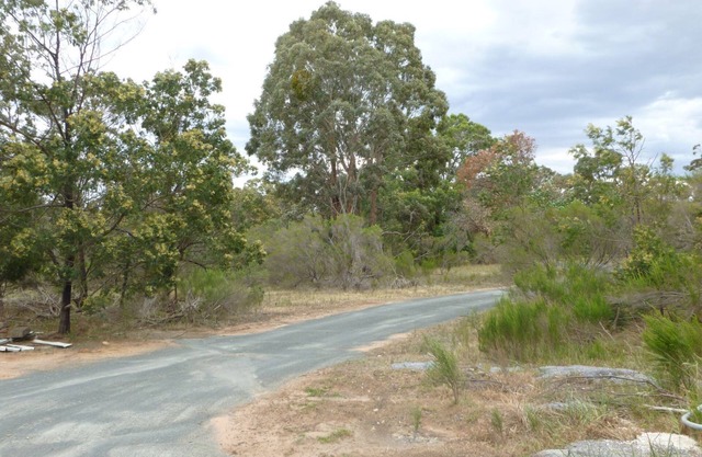kangaroo valley - wildlife