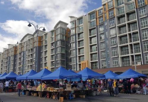 Kareena Barrington Square Goldenhills Pasar Malam Cameron Highlands
