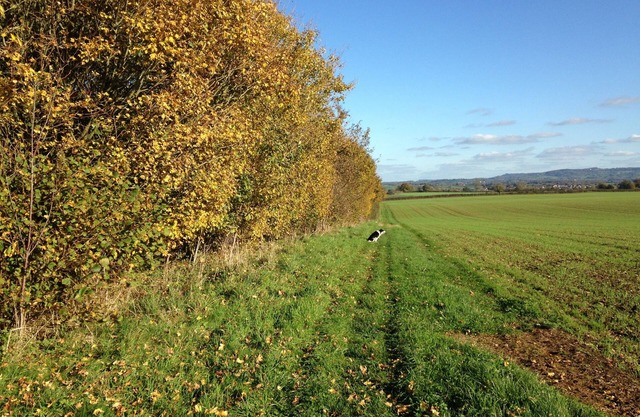 Kelpers Barn ,With Fishing available and Wonderful Views Of The Open Countryside