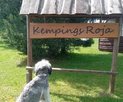 Kempings Roja - TELTS vietas