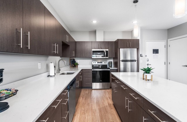 King 1 Bedroom Apartment - Lincoln Park Boutique Hotel