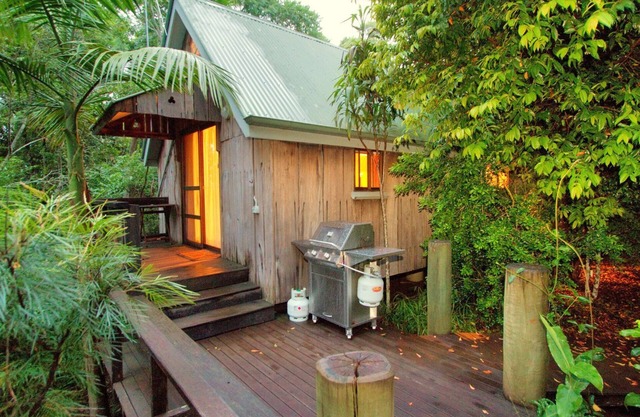 Kingfisher: Mt Glorious Getaways