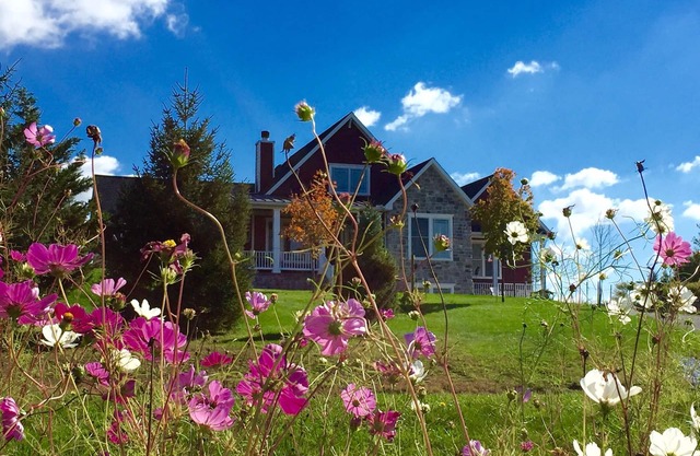 Kiwi Berry Farmette, Gardens, Seasonal Pool & Guest Suite at Wild Juniper Farm!