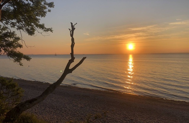 Klssified as 5 Stars Holiday House, secluded deteached house