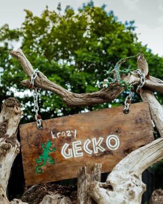 Krazy Gecko Resort