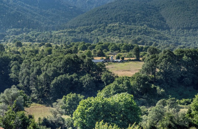 Ktima Bellou