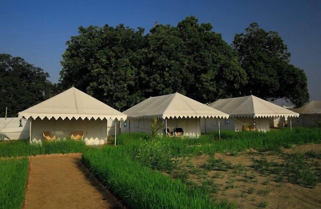 Kumbh Mela Camp67