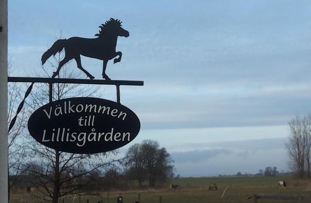 Lägenhet Lillisgården