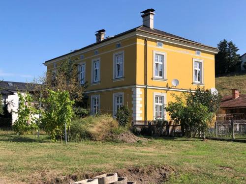 Löwenzahn2