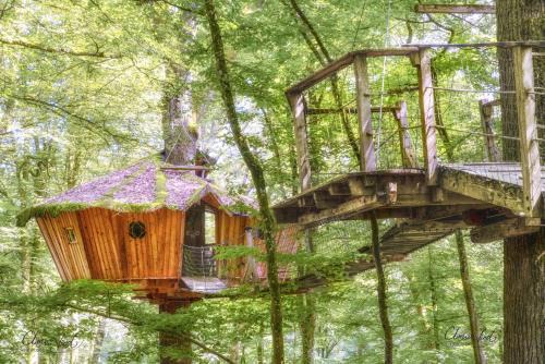 L'Arbre à Cabane