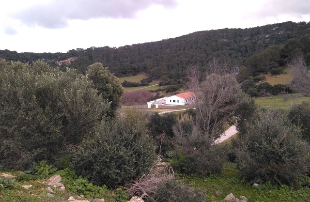 L'enzell - tranquility, ideal families