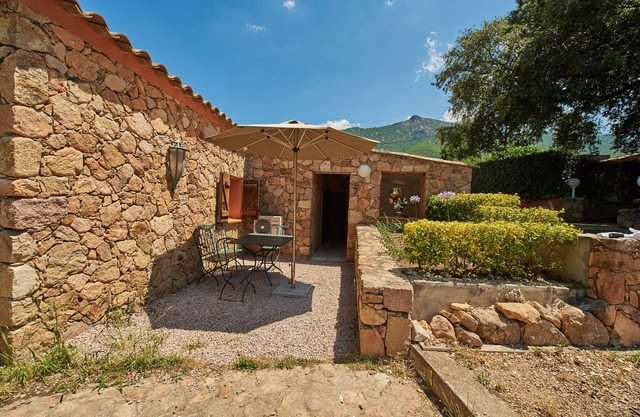 L'Olivier house with swimming pool for 4/6 people