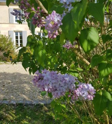 La bastide de Margaux