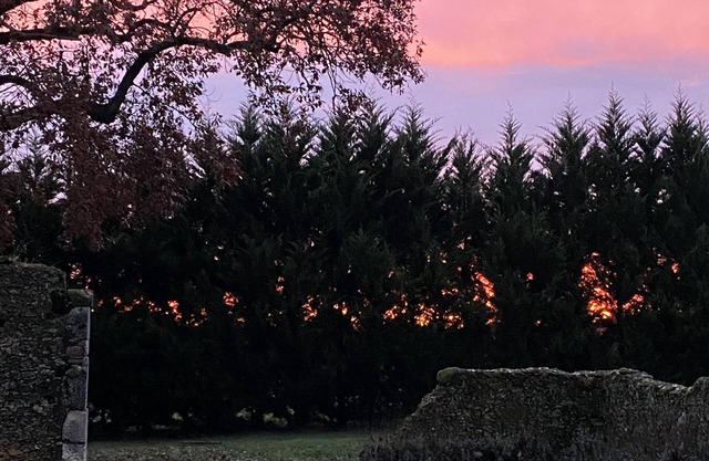 La Bergerie (Oak)