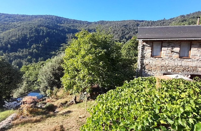 La Bergerie: Gîte Familial et Chaleureux Dans le Parc National des Cévennes