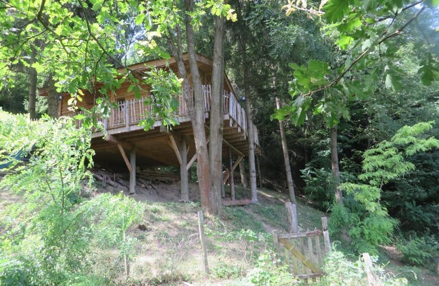 La Cabane aux Sapins