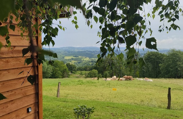 La Cabane de Pauline