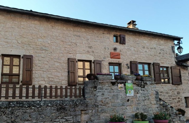 LA Cardabelle Gca118