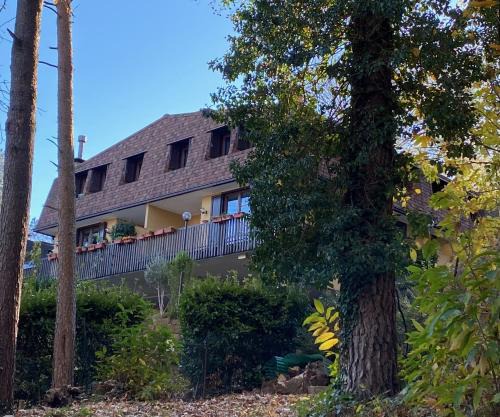 LA CASA NEL BOSCO, DI MARI