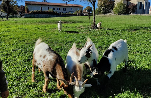 La Ferme des Tilleuls