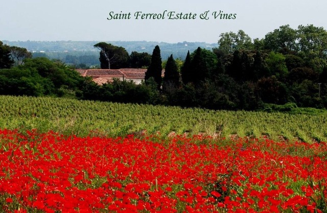 La Forge, 2 bedroom charming vineyard villa at Domaine Saint Ferreol