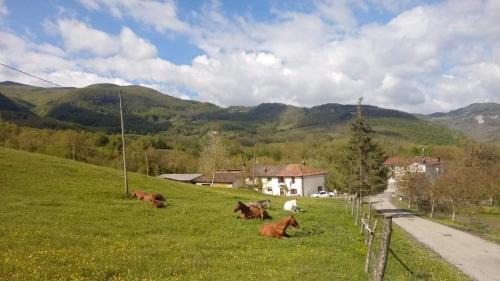 La Lissandra Agriturismo House